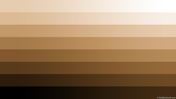 different-shades-of-brown